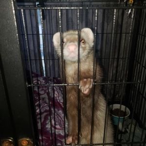 Meet your Posher, Julie